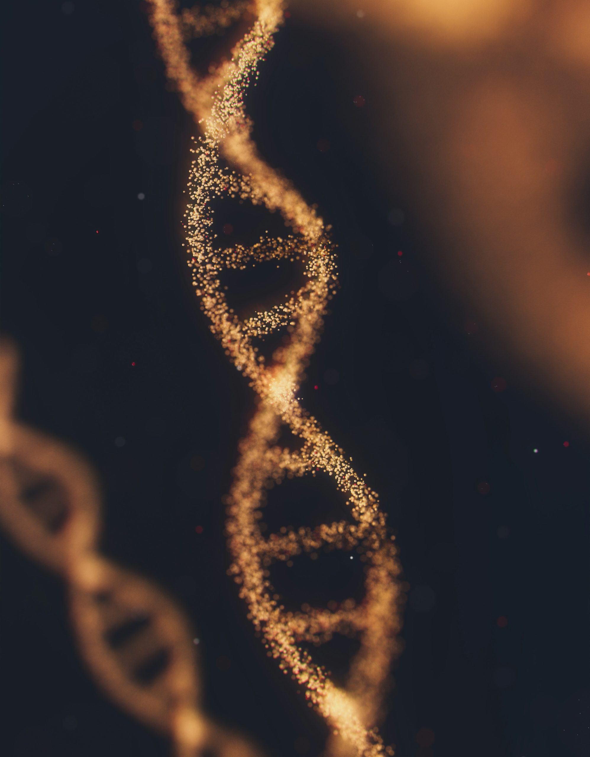 Co mówi nam DNA o współpracy w zespołach?